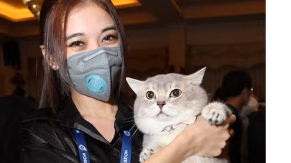 Săn hàng “độc” đón xuân