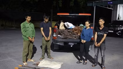 Bắt nhóm trộm cắp 3.000m cáp điện trên cao tốc Vân Đồn – Móng Cái
