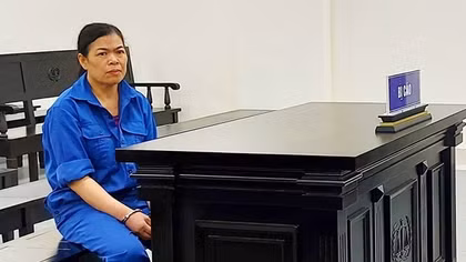 Phạt tù cựu giáo viên tiểu học lừa đảo xin việc