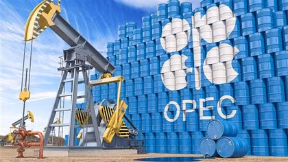 OPEC tuyên bố "không hứng thú" gia tăng sản lượng dầu