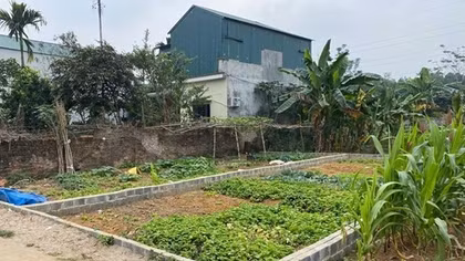 Hà Nội tạm dừng tách thửa đất nông nghiệp