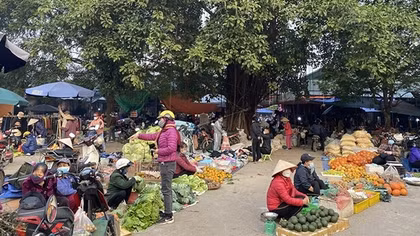 Chợ phiên Tết quê