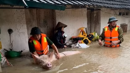 Công an Tam Đảo giúp dân sơ tán tài sản trong mưa lũ