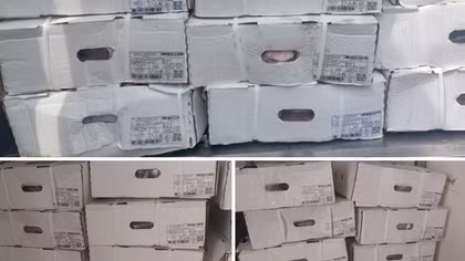 Cảnh giác với một thủ đoạn lừa đảo tinh vi