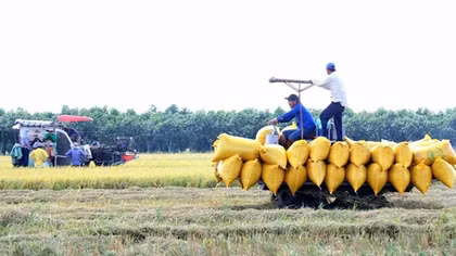 Đột phá để đưa nông nghiệp châu thổ Cửu Long phát triển