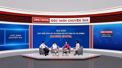 Chuyên gia hiến kế để gia tăng xuất khẩu hàng hoá thương hiệu Việt sang các thị trường trong EVFTA