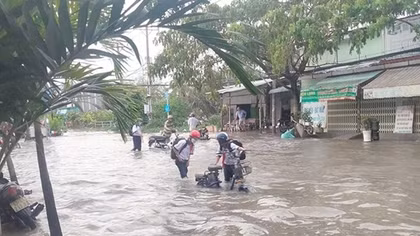 Thành phố… mùa triều dâng