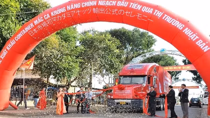 Đắk Lắk xuất khẩu lô mắc ca chính ngạch đầu tiên sang thị trường Nhật Bản