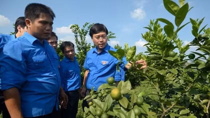 Khuyến khích tinh thần khởi nghiệp của thanh niên nông thôn