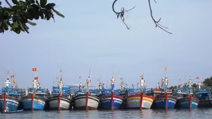 Nhiều tàu cá đánh bắt xa bờ phải “đắp chiếu” do thiếu lao động