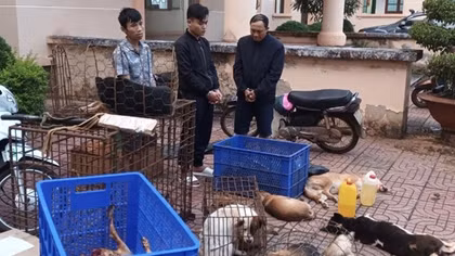 Vừa ra tù lại sắm dao rựa, súng bắn điện đi trộm chó