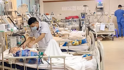 Nhiều người đột quỵ, viêm phổi vì nắng nóng