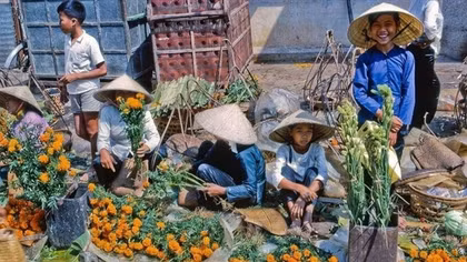 Chợ Việt truyền thống trong đời sống đô thị hóa, công nghiệp hóa