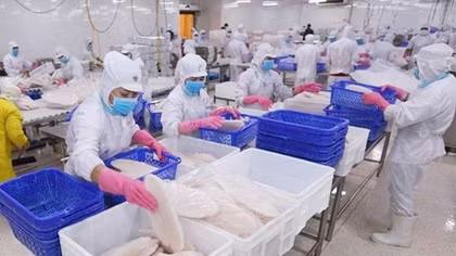 Lách khe hẹp xuất khẩu thủy sản tiếp tục mở cửa thị trường