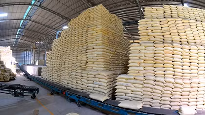 Tăng cường kiểm soát mặt hàng gạo, ngăn nguy cơ gian lận xuất xứ