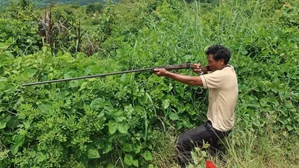 Đi săn thú, bắn nhầm người bẫy gà
