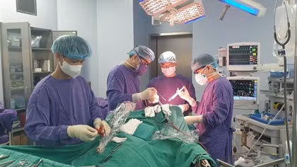 Cảnh báo biến chứng xuất huyết nội sọ nặng do sốt xuất huyết