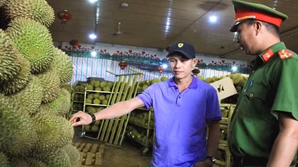Lễ hội sầu riêng - cơ hội quảng bá nông sản và văn hoá du lịch
