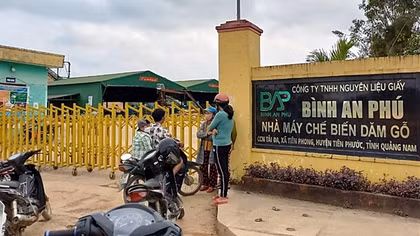 Nữ công nhân tử vong trong xưởng chế biến dăm gỗ