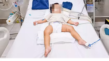 Đừng giao trứng cho ác