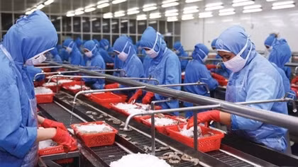 Làm thế nào để xây dựng thương hiệu cho thủy sản Việt Nam?
