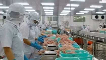 Xuất khẩu thủy sản tăng mạnh ở những thị trường chính