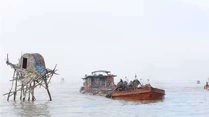 Cần giải quyết dứt điểm mâu thuẫn kéo dài tại các bãi nuôi ngao