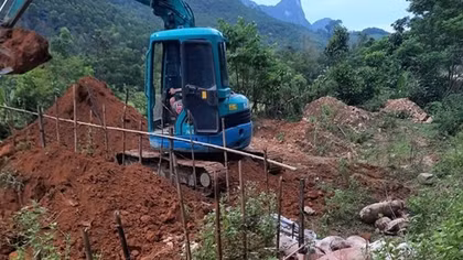 Quảng Bình: Không để dịch tả lợn châu Phi lan rộng