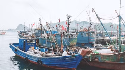 55% tàu cá dừng hoạt động, đề xuất Chính phủ hỗ trợ ngư dân