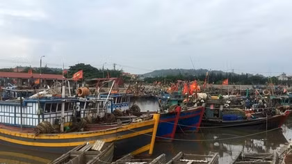 Nhiều tàu cá nằm bờ do giá nhiên liệu tăng cao