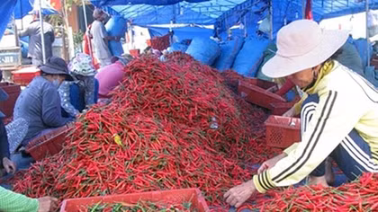 Những quy định nghiêm ngặt của thị trường xuất khẩu