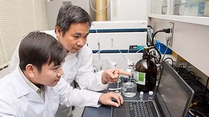 Nhà khoa học Việt tìm ra chất ức chế tế bào ung thư máu từ gạo