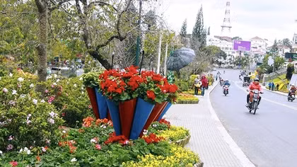 Sắc cầu vồng Cam Ly