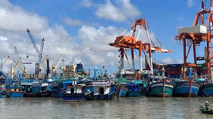 Xử lý mức cao nhất những tàu cá khai thác hải sản bất hợp pháp