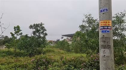 Rộ tình trạng "bỏ cọc" đất ở Quảng Trị