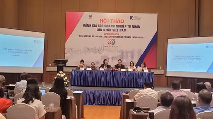 Nhóm VPE500 chưa hùng mạnh như kỳ vọng