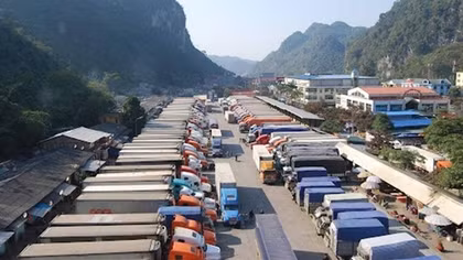 Thiếu container lạnh cho xuất khẩu nông sản, giá thuê quá cao