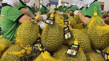 Ban hành Chương trình hành động thực hiện Chiến lược xuất nhập khẩu hàng hóa đến năm 2030