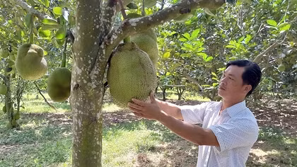 Nhân rộng mô hình phát triển du lịch xanh tại Quảng Nam