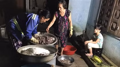 Mùa cá cơm than đến làng Nam Ô