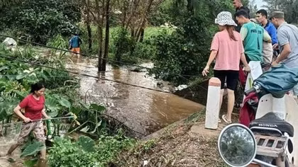 Mưa lũ cuốn trôi 32 tấn cá lóc của người dân