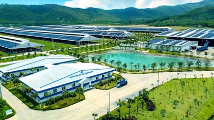 Vinamilk Green Farm – Mô hình trang trại bò sữa phát triển bền vững