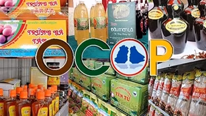 Đưa 100% sản phẩm OCOP 3 sao của một số tỉnh, thành lên sàn thương mại điện tử