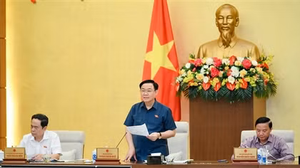 Trình Quốc hội nghị quyết thí điểm đấu giá biển số ô tô