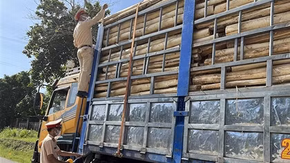 CSGT cắt nóc những xe quá tải, cồng kềnh như... núi di động