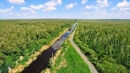 “Ngân hàng Carbon Thế giới” là gì?