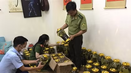 Thu mua rượu ngâm hổ mang, bọ cạp rồi lên mạng rao bán