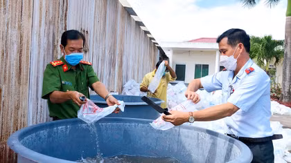 Tiêu hủy gần 5,3 triệu con tôm giống chưa qua kiểm dịch