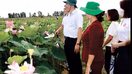 Đồng Tháp lần đầu tiên tổ chức Lễ hội Sen
