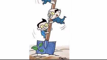 Trồng cây